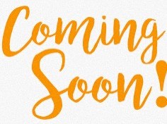 1310 Driver Ave 1-3 Beds Apartment, Affordable for Rent - Photo Gallery 6